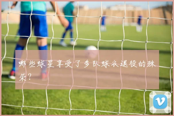 哪些球星享受了多队球衣退役的殊荣？